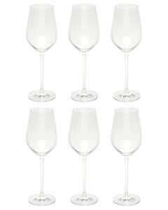 Schott Zwiesel Fortissimo 0 witte wijnglas 420 ml kristalglas 6 stuks
