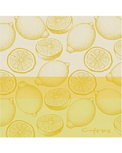 Oldenhof Citrus theedoek 60 x 65 cm katoen geel