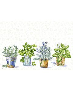 Ihr Aromatic Herbs Placemat 43 x 29 cm kunststof groen