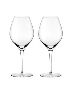 Nude Vinifera witte wijnglas 360 ml kristalglas 2 stuks