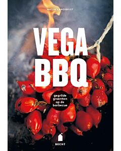 VEGA BBQ : Gegrilde groenten op de barbecue