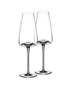 Zieher Vision Rich wijnglas 280 ml kristalglas 2-delig